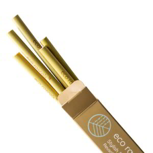 Eco Rascals Reusable Bamboo Straws - 5 Pack